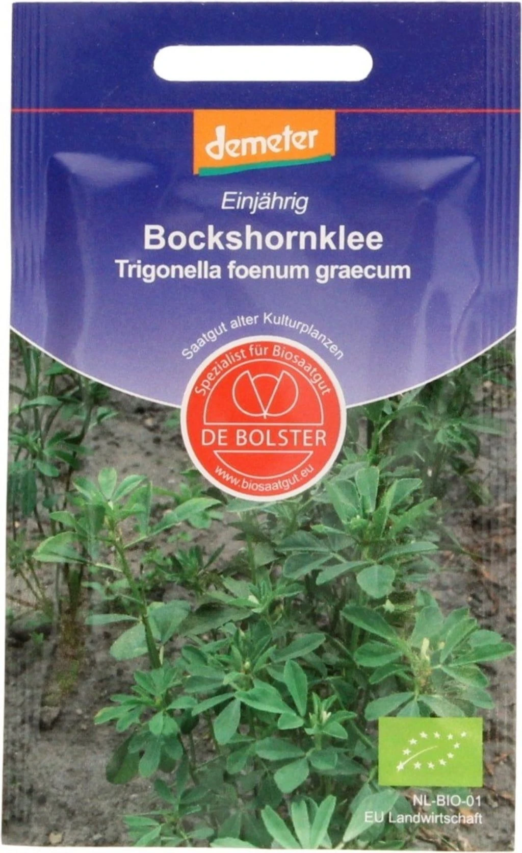 Bockshornsklee, 3 G 4 Bockshornsklee, 3 G – Bild 2