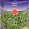 Keimsprossen "Brokkoli", 25 G 1 Keimsprossen "Brokkoli", 25 G -Deutschland Gartenbedarf Verkäufe 2024 de bolster keimsprossen brokkoli 25 g 1650472 de