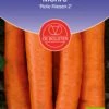 Lagerkarotte "Rote Riesen 2", 6 G -Deutschland Gartenbedarf Verkäufe 2024 de bolster lagerkarotte rote riesen 2 1716807 de