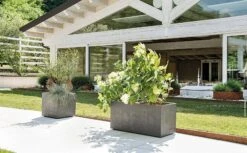 Pflanztopf "Quadro Millenium" Mit Wasserreservoir - Anthrazit, 39 Cm 15 Pflanztopf "Quadro Millenium" Mit Wasserreservoir - Anthrazit, 39 Cm -Deutschland Gartenbedarf Verkäufe 2024 deroma pflanztopf quadro millenium mit wasserreservoir anthrazit 1 st 1668643 de