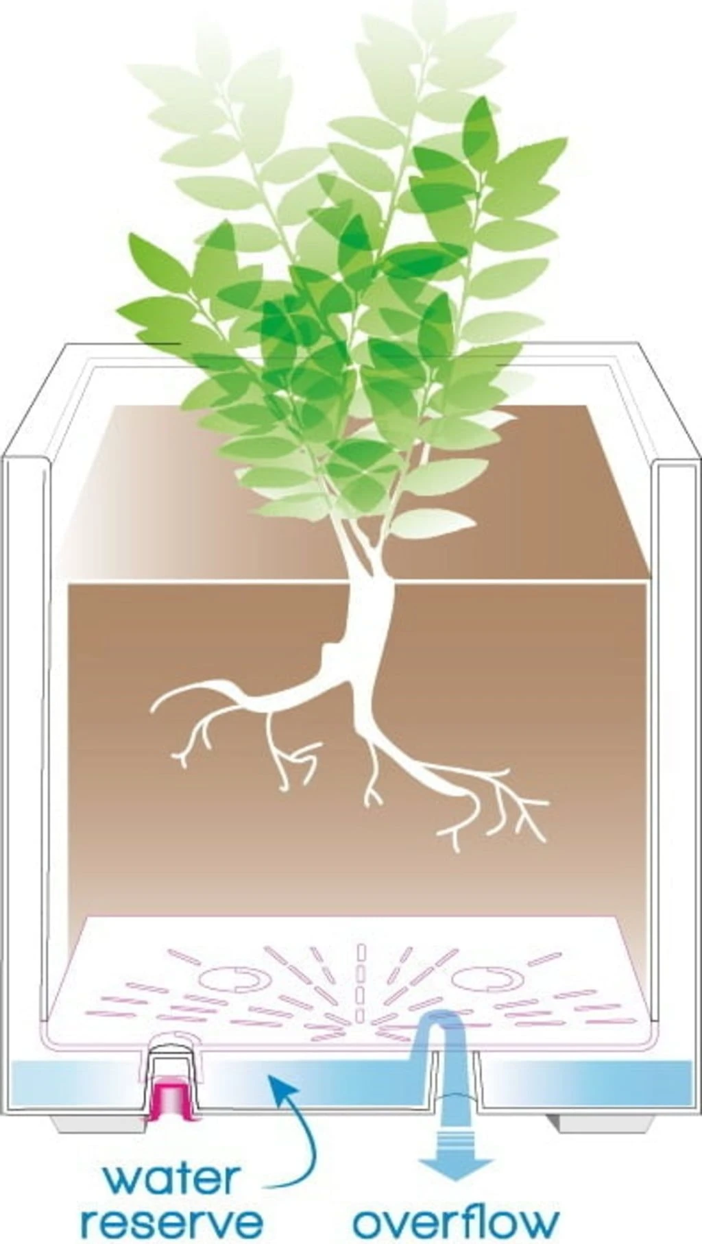 Pflanztopf "Quadro Millenium" Mit Wasserreservoir - Anthrazit, 39 Cm 6 Pflanztopf "Quadro Millenium" Mit Wasserreservoir - Anthrazit, 39 Cm – Bild 4