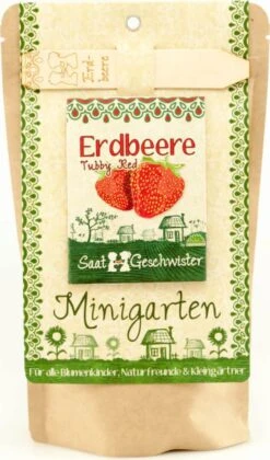 Minigarten Erdbeere "Tubby Red" -Deutschland Gartenbedarf Verkäufe 2024 die stadtgaertner minigarten erdbeere tubby red 1 set 1663167 de