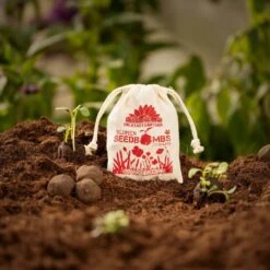 Samenbomben "Blühendes Kornfeld", 8 Stück -Deutschland Gartenbedarf Verkäufe 2024 die stadtgaertner samenbomben bluehendes kornfeld 8 st 1665790 de