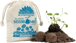 Samenbomben "Gänseblümchen", 8 Stück 7 Samenbomben "Gänseblümchen", 8 Stück -Deutschland Gartenbedarf Verkäufe 2024 die stadtgaertner samenbomben gaensebluemchen 8 st 1663300 de