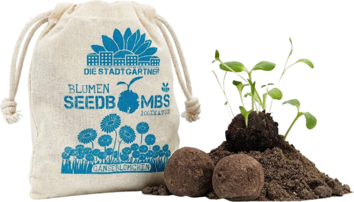 Samenbomben "Gänseblümchen", 8 Stück 5 Samenbomben "Gänseblümchen", 8 Stück – Bild 3