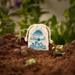 Samenbomben "Gänseblümchen", 8 Stück 6 Samenbomben "Gänseblümchen", 8 Stück -Deutschland Gartenbedarf Verkäufe 2024 die stadtgaertner samenbomben gaensebluemchen 8 st 1665788 de