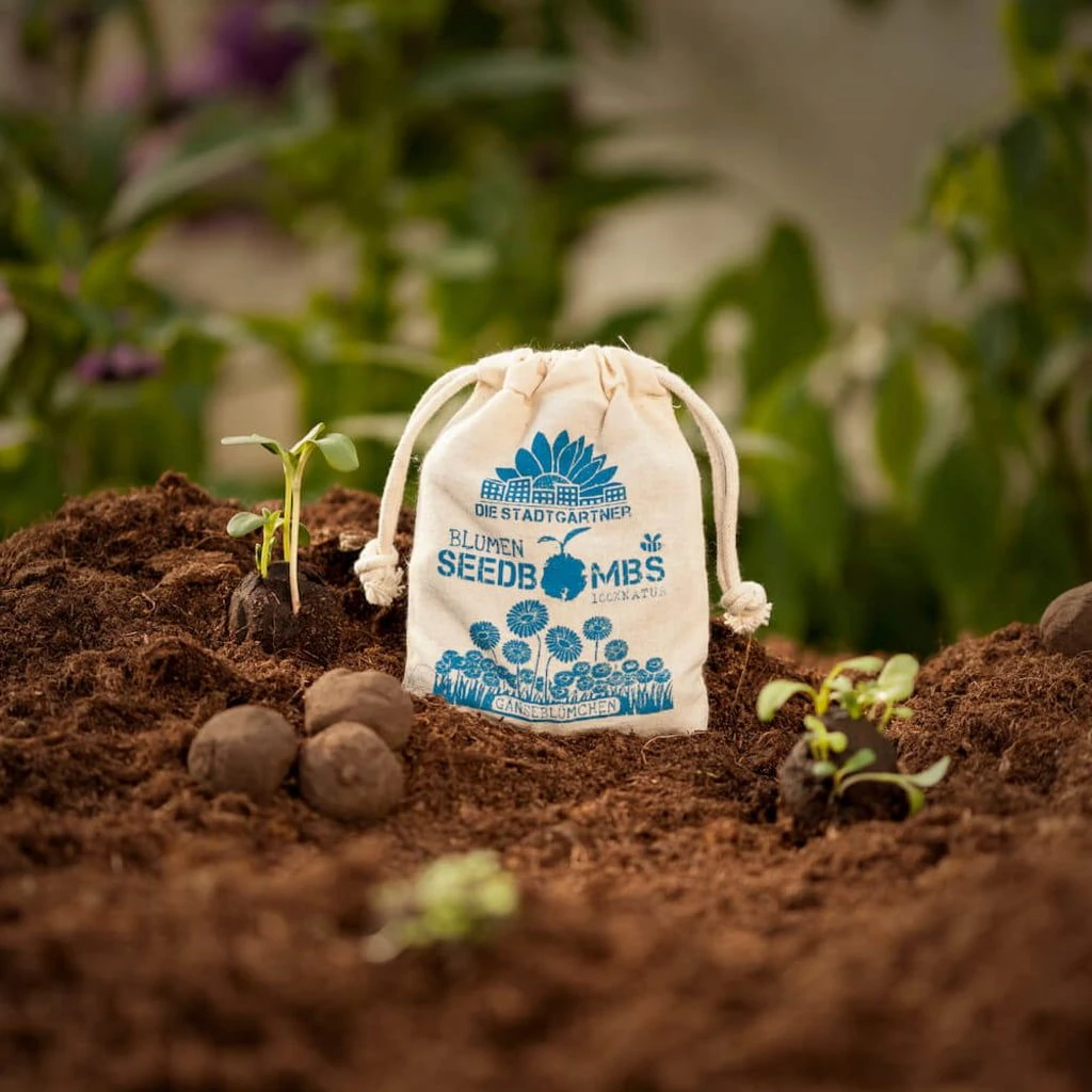 Samenbomben "Gänseblümchen", 8 Stück 4 Samenbomben "Gänseblümchen", 8 Stück – Bild 2