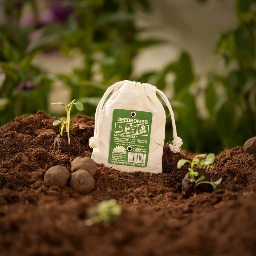 Samenbomben "Gänseblümchen", 8 Stück 3 Samenbomben "Gänseblümchen", 8 Stück