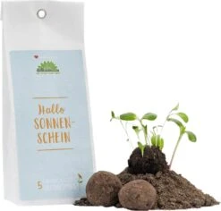 Samenbomben "Hallo Sonnenschein" -Deutschland Gartenbedarf Verkäufe 2024 die stadtgaertner samenbomben hallo sonnenschein 1 set 1670308 de
