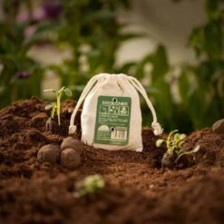 Samenbomben "Sonnenblume", 8 Stück -Deutschland Gartenbedarf Verkäufe 2024 die stadtgaertner samenbomben sonnenblume 8 st 1665785 de