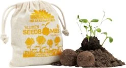 Samenbomben "Sonnenblume", 8 Stück -Deutschland Gartenbedarf Verkäufe 2024 die stadtgaertner samenbomben sonnenblume 8 st 1665787 de