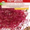 BIO-Keimsprossen Rote Rüben