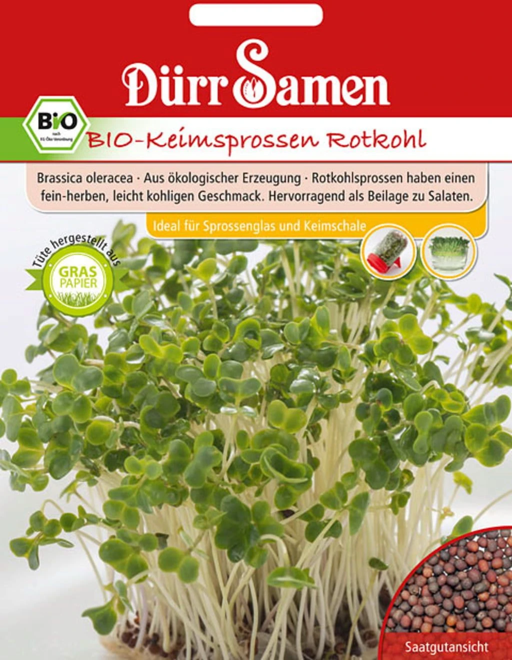BIO-Keimsprossen Rotkohl 3 BIO-Keimsprossen Rotkohl