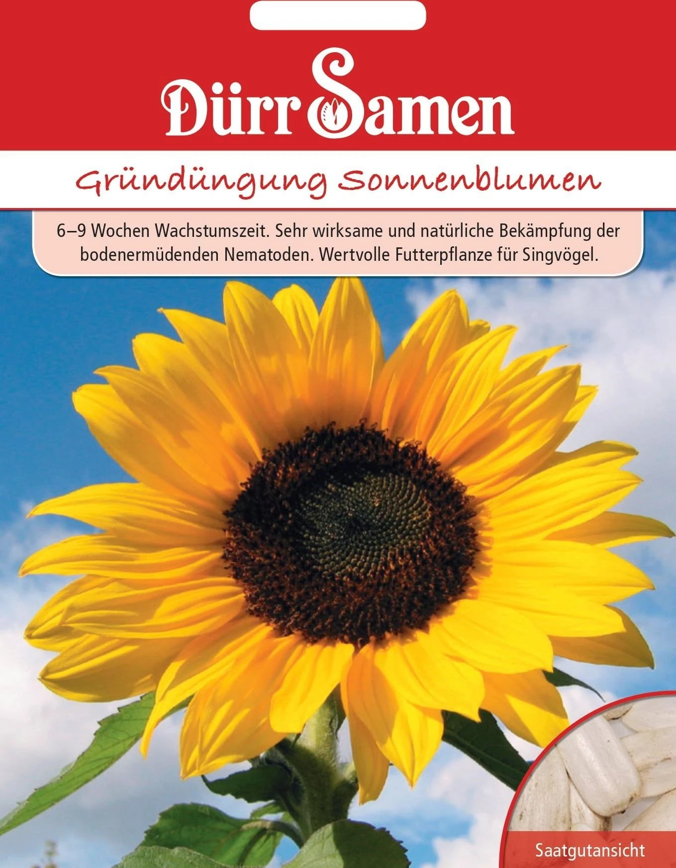 Gründüngung Sonnenblumen , 50 G 3 Gründüngung Sonnenblumen , 50 G