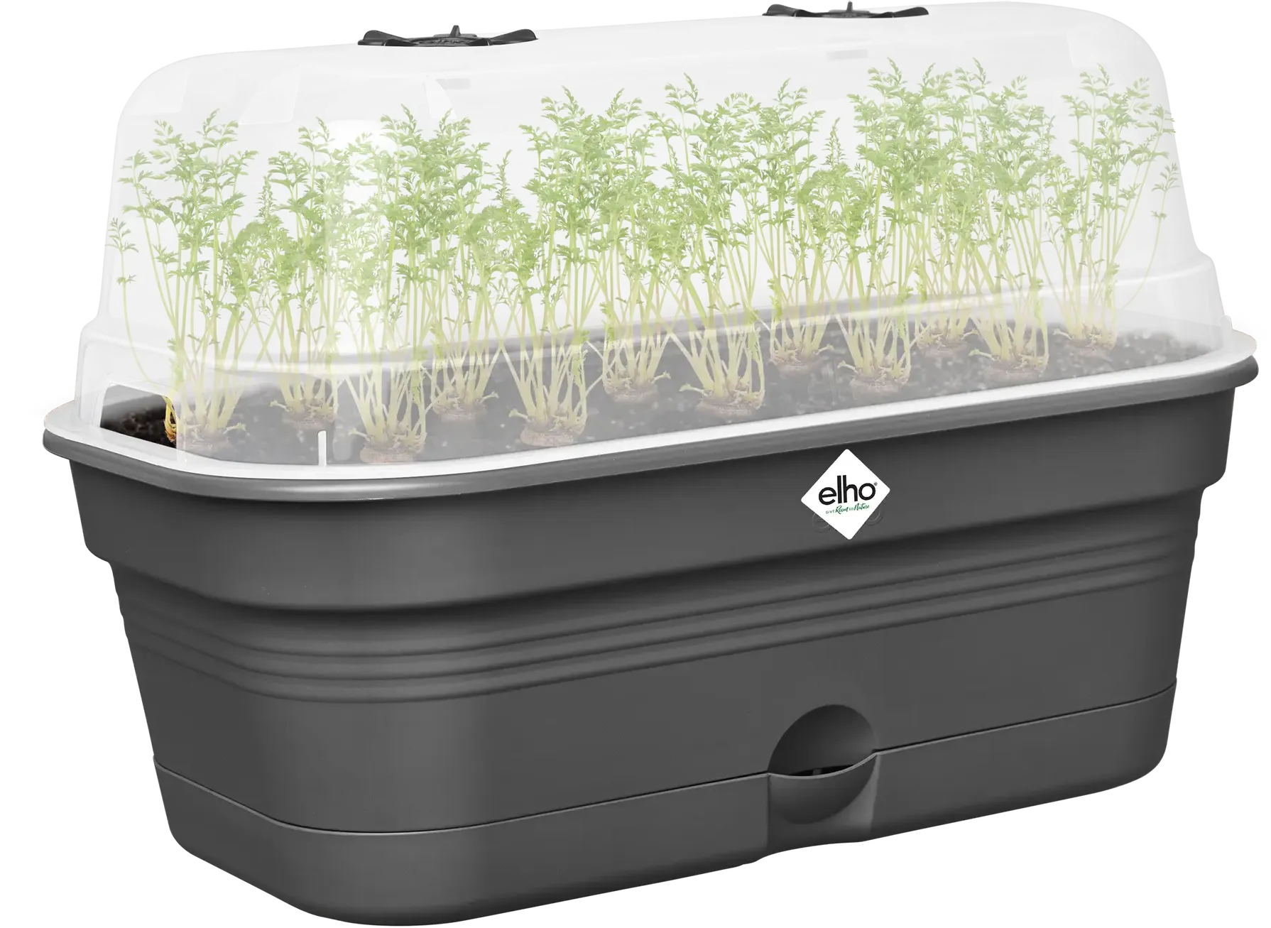 Elho Anzuchtschalen-Set Green Basics Allin1 - L, Living Schwarz 3 Elho Anzuchtschalen-Set Green Basics Allin1 - L, Living Schwarz