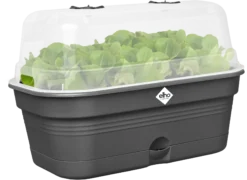 Elho Anzuchtschalen-Set Green Basics Allin1 - L, Living Schwarz 16 Elho Anzuchtschalen-Set Green Basics Allin1 - L, Living Schwarz -Deutschland Gartenbedarf Verkäufe 2024 elho anzuchtschalen set green basics allin1 l nero 1407245 de