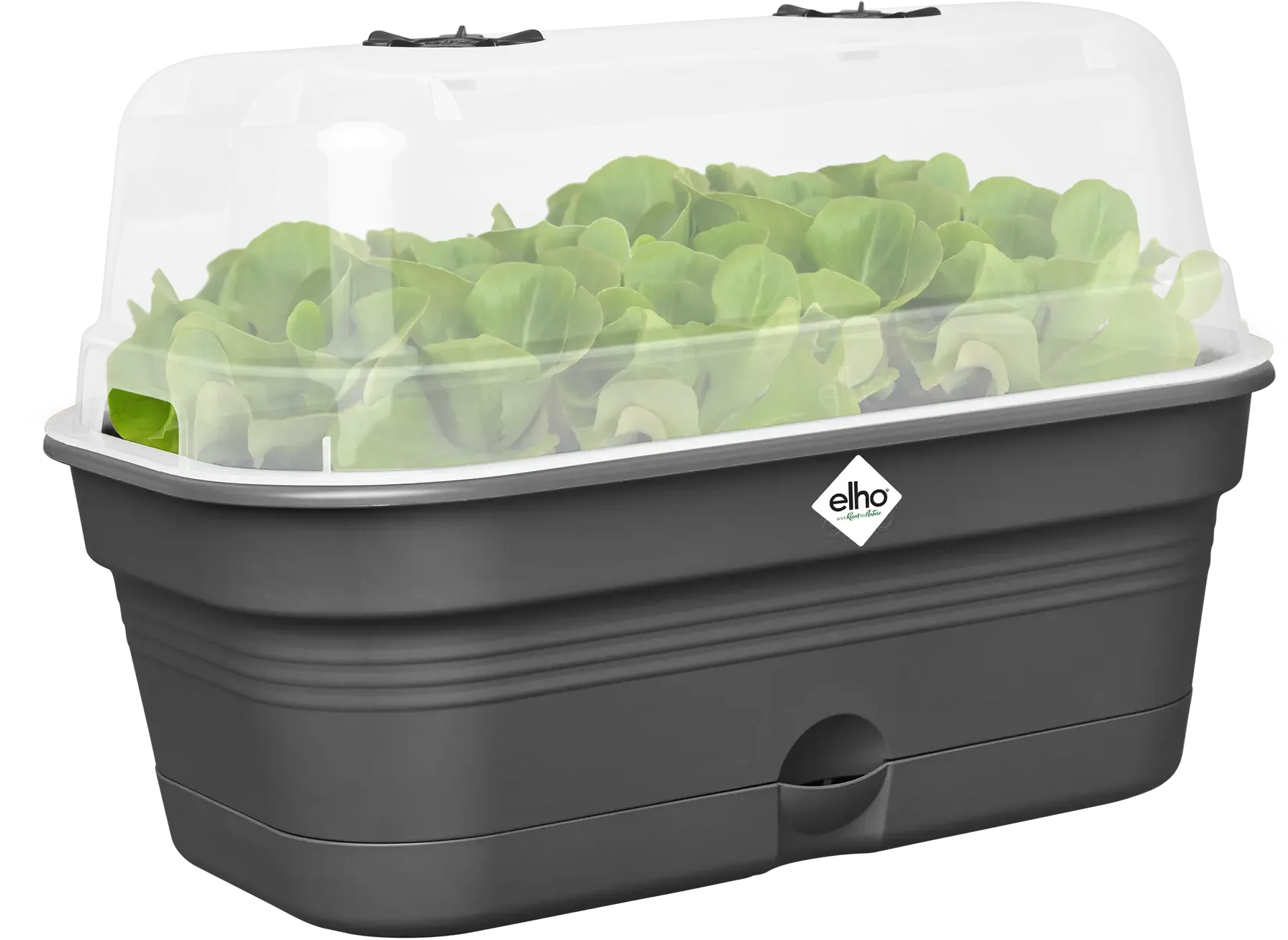Elho Anzuchtschalen-Set Green Basics Allin1 - L, Living Schwarz 5 Elho Anzuchtschalen-Set Green Basics Allin1 - L, Living Schwarz – Bild 3