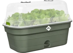 Elho Anzuchtschalen-Set Green Basics Allin1 - M, Laubgrün 13 Elho Anzuchtschalen-Set Green Basics Allin1 - M, Laubgrün -Deutschland Gartenbedarf Verkäufe 2024 elho anzuchtschalen set green basics allin1 m verde foglia 1404398 de