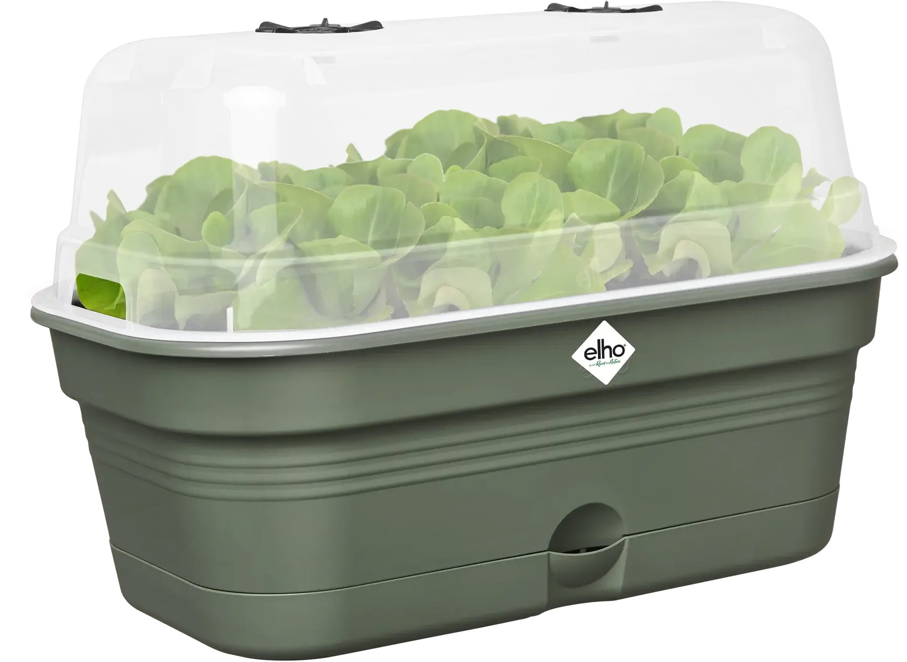 Elho Anzuchtschalen-Set Green Basics Allin1 - M, Laubgrün 6 Elho Anzuchtschalen-Set Green Basics Allin1 - M, Laubgrün – Bild 4