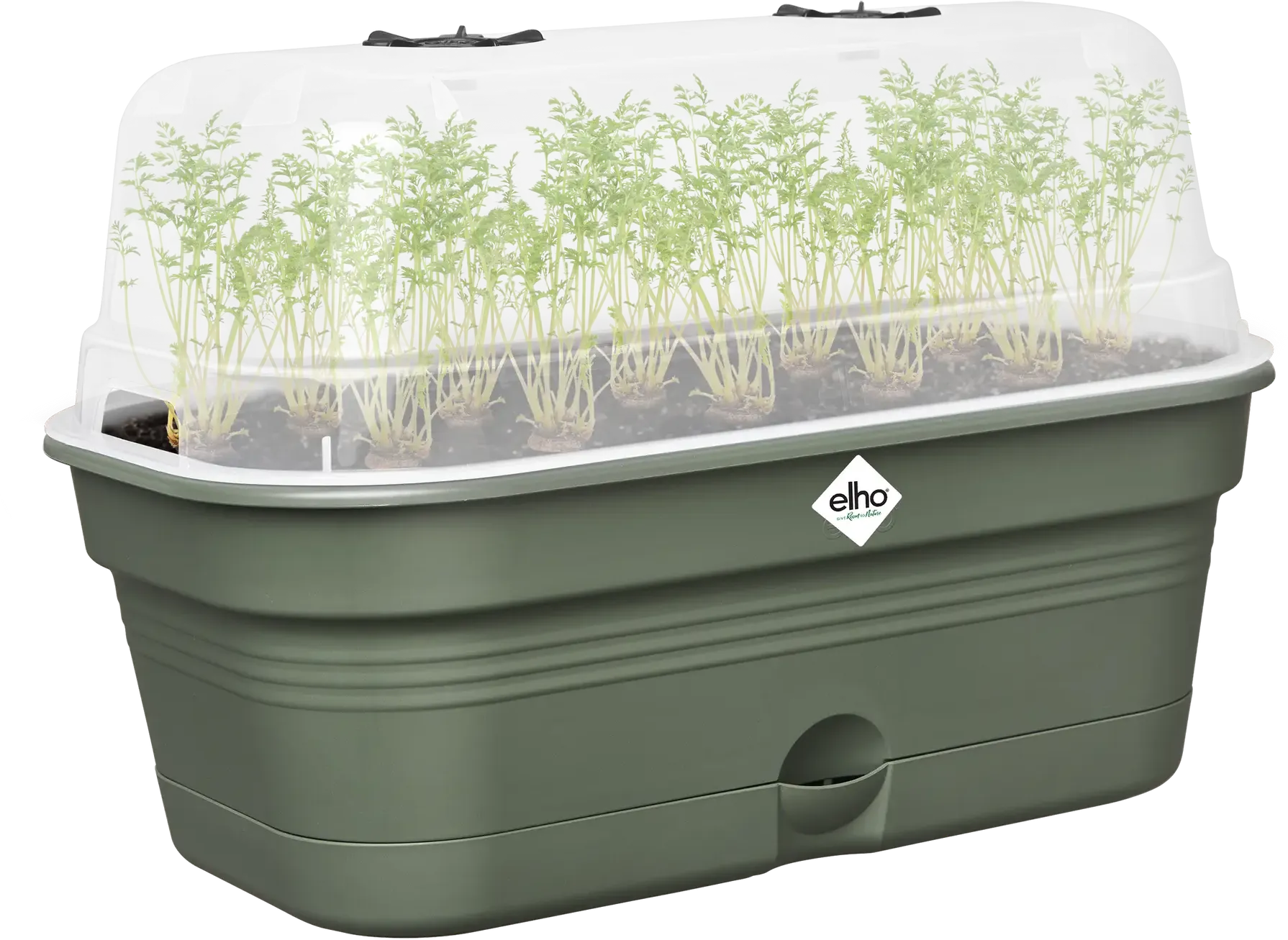 Elho Anzuchtschalen-Set Green Basics Allin1 - M, Laubgrün 9 Elho Anzuchtschalen-Set Green Basics Allin1 - M, Laubgrün – Bild 7