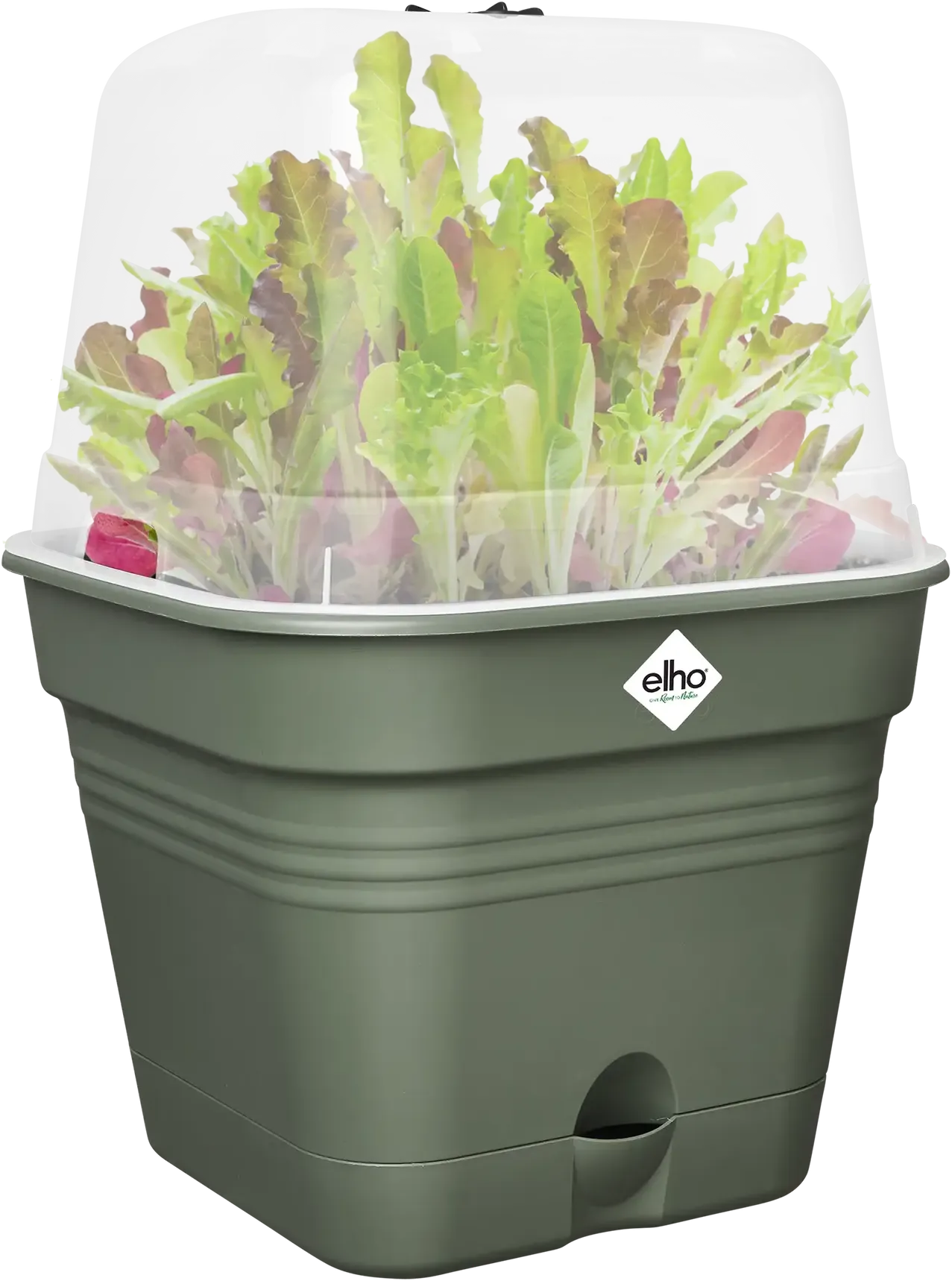 Elho Anzuchttopf Set Green Basics 20cm - Quadrat, Laubgrün 13 Elho Anzuchttopf Set Green Basics 20cm - Quadrat, Laubgrün – Bild 11