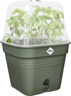 Elho Anzuchttopf Set Green Basics 20cm - Quadrat, Laubgrün 21 Elho Anzuchttopf Set Green Basics 20cm - Quadrat, Laubgrün -Deutschland Gartenbedarf Verkäufe 2024 elho anzuchttopf set green basics 20cm quadrat verde foglia 1405685 de