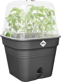 Elho Anzuchttopf Set Green Basics 35cm - Quadrat, Living Schwarz -Deutschland Gartenbedarf Verkäufe 2024 elho anzuchttopf set green basics 35cm quadrat nero 1406678 de
