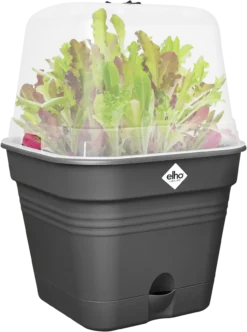 Elho Anzuchttopf Set Green Basics 35cm - Quadrat, Living Schwarz -Deutschland Gartenbedarf Verkäufe 2024 elho anzuchttopf set green basics 35cm quadrat nero 1406719 de