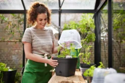 Elho Anzuchttopf Set Green Basics 35cm - Quadrat, Living Schwarz -Deutschland Gartenbedarf Verkäufe 2024 elho anzuchttopf set green basics 35cm quadrat nero 1406733 de