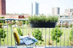 Elho Balkon Support Für Barcelona 70&90 Cm, Anthrazit -Deutschland Gartenbedarf Verkäufe 2024 elho balkon support fuer barcelona 7090 cm antracit 1669187 de