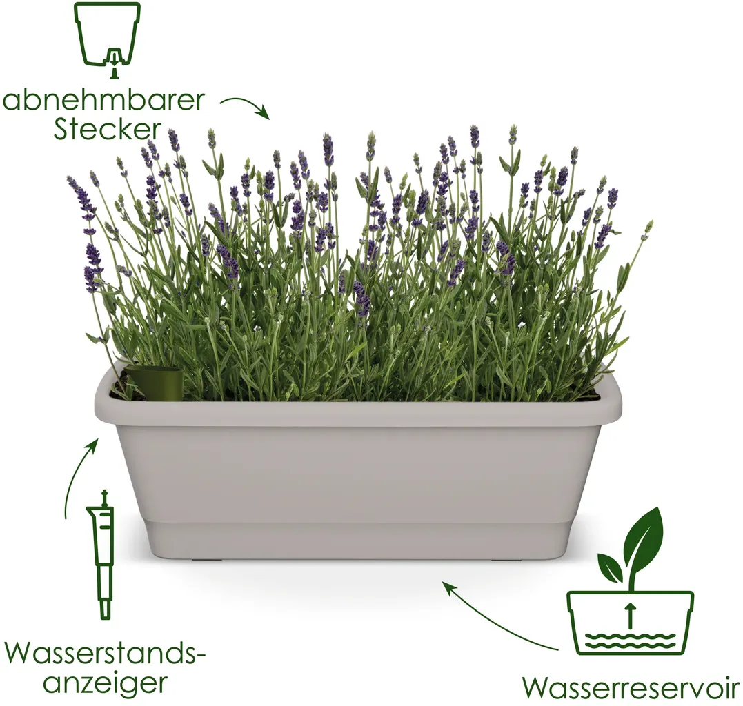 Elho Balkonkasten - Noa L, Terra 5 Elho Balkonkasten - Noa L, Terra – Bild 3