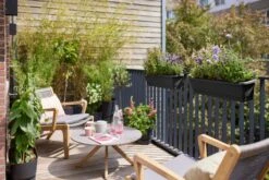 Elho Balkonkasten - Noa M, Living Schwarz -Deutschland Gartenbedarf Verkäufe 2024 elho balkonkasten noa m living schwarz 1601261 de