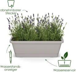 Elho Balkonkasten - Noa XL, Living Schwarz 12 Elho Balkonkasten - Noa XL, Living Schwarz -Deutschland Gartenbedarf Verkäufe 2024 elho balkonkasten noa xl living schwarz 1687966 de