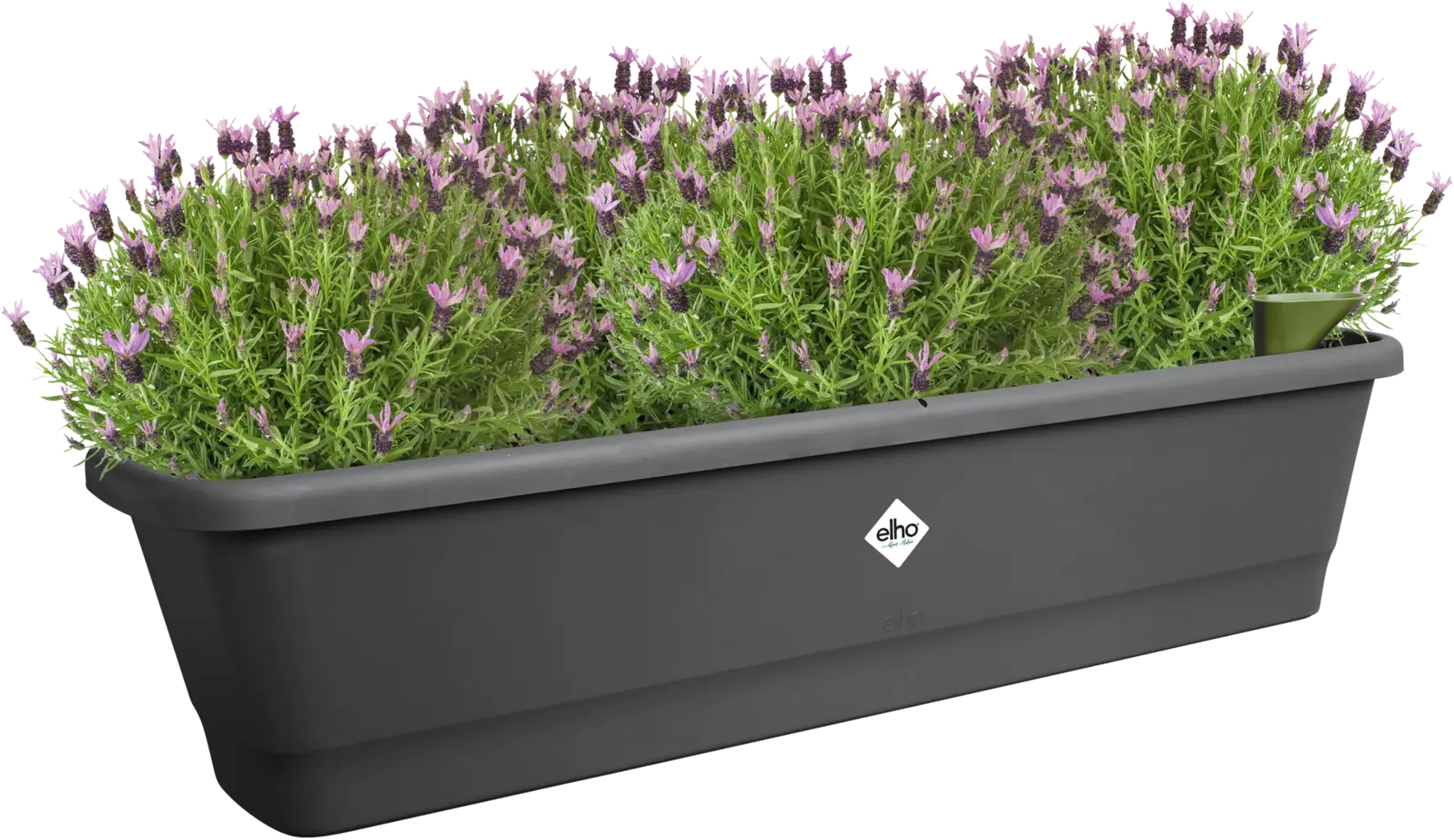 Elho Balkonkasten - Noa XL, Living Schwarz 4 Elho Balkonkasten - Noa XL, Living Schwarz – Bild 2