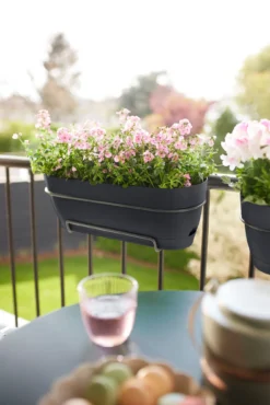 Elho Balkonkasten Vibia Campana, 50 Cm, Anthrazit -Deutschland Gartenbedarf Verkäufe 2024 elho balkonkasten vibia campana 50cm anthrazit 1451609 de