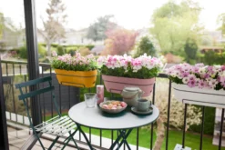 Elho Balkonkasten Vibia Campana, 70 Cm, Honig Gelb