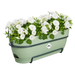 Elho Balkonkasten Vibia Campana Allin1, 50 Cm, Pistazien Grün -Deutschland Gartenbedarf Verkäufe 2024 elho balkonkasten vibia campana allin1 50cm pistazien gruen 1448774 de