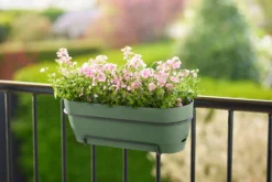 Elho Balkonkasten Vibia Campana Allin1, 50 Cm, Pistazien Grün -Deutschland Gartenbedarf Verkäufe 2024 elho balkonkasten vibia campana allin1 50cm pistazien gruen 1448818 de