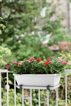 Elho Barcelona Balkonkasten 40 Cm, Weiss 13 Elho Barcelona Balkonkasten 40 Cm, Weiss -Deutschland Gartenbedarf Verkäufe 2024 elho barcelona balkonkasten 40 cm vit 1667188 de