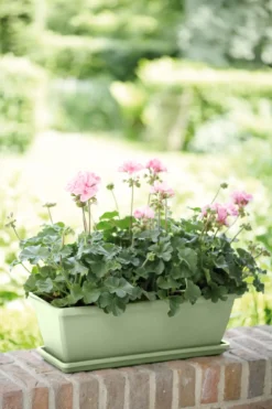 Elho Barcelona Balkonkasten 50 Cm, Pistazien Grün -Deutschland Gartenbedarf Verkäufe 2024 elho barcelona balkonkasten 50 cm pistazien gruen 1598859 de