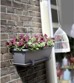 Elho Barcelona Balkonkasten 70 Cm, Anthrazit 10 Elho Barcelona Balkonkasten 70 Cm, Anthrazit -Deutschland Gartenbedarf Verkäufe 2024 elho barcelona balkonkasten 70cm 631636 de