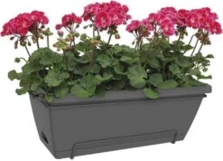 Elho Barcelona Xl Allin1 55 Cm, Anthrazit -Deutschland Gartenbedarf Verkäufe 2024 elho barcelona xl allin1 55 cm 1669199 de