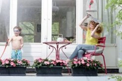 Elho Barcelona Xl Untersetzer 60 Cm, Weiss 13 Elho Barcelona Xl Untersetzer 60 Cm, Weiss -Deutschland Gartenbedarf Verkäufe 2024 elho barcelona xl untersetzer 60 cm 1669229 de