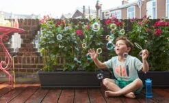 Elho Barcelona Xl Untersetzer 60 Cm, Weiss 12 Elho Barcelona Xl Untersetzer 60 Cm, Weiss -Deutschland Gartenbedarf Verkäufe 2024 elho barcelona xl untersetzer 60 cm 1669230 de