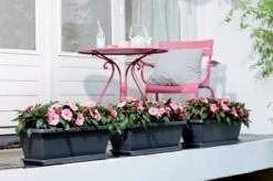 Elho Barcelona Xl Untersetzer 80 Cm, Anthrazit 11 Elho Barcelona Xl Untersetzer 80 Cm, Anthrazit -Deutschland Gartenbedarf Verkäufe 2024 elho barcelona xl untersetzer 80 cm 1669242 de