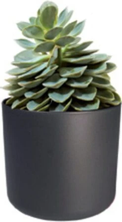 Elho B.for Soft Rund Anthrazit, Ø 22 Cm 10 Elho B.for Soft Rund Anthrazit, Ø 22 Cm -Deutschland Gartenbedarf Verkäufe 2024 elho bfor soft rund anthrazit 1671532 de