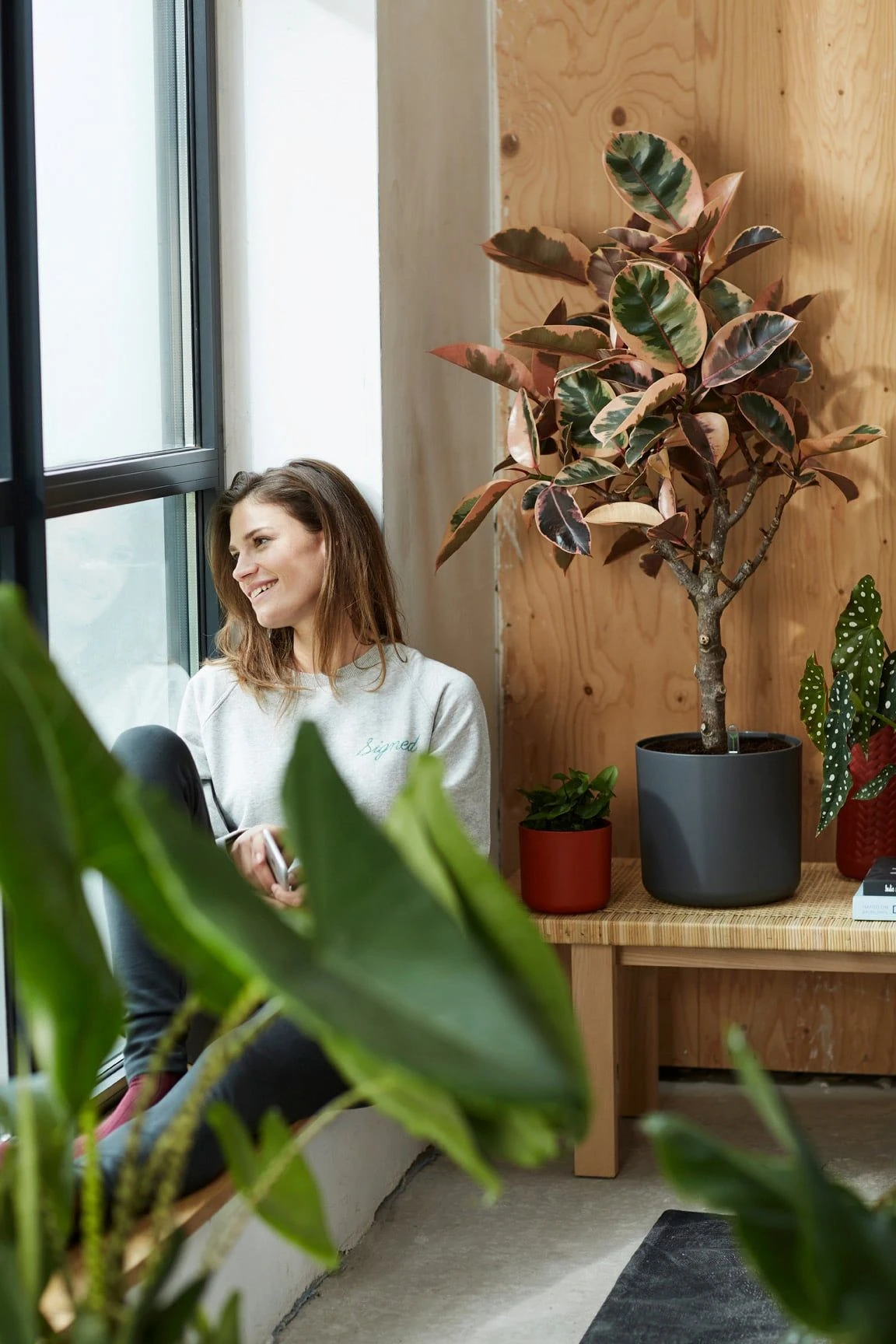 Elho B.for Soft Rund Anthrazit, Ø 22 Cm 7 Elho B.for Soft Rund Anthrazit, Ø 22 Cm – Bild 5