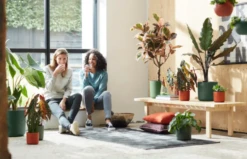 Elho B.for Soft Rund Laubgrün, Ø 18 Cm -Deutschland Gartenbedarf Verkäufe 2024 elho bfor soft rund laubgruen 1671528 de