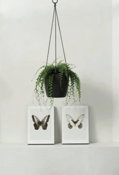 Elho Brussels Hängeampel "18cm", Anthrazit