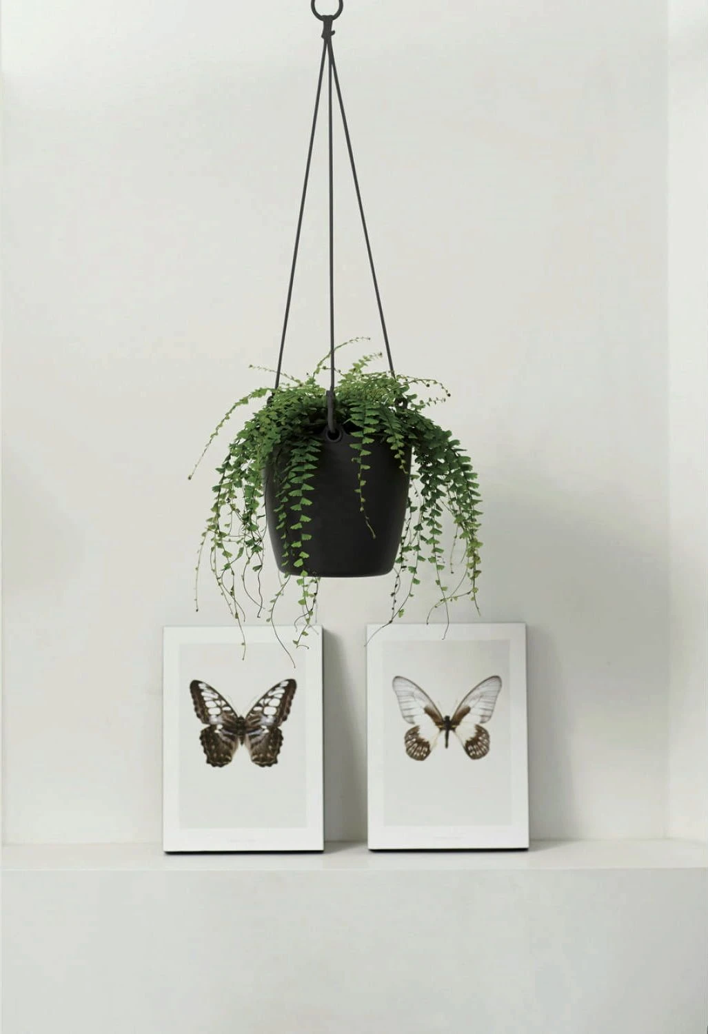 Elho Brussels Hängeampel "18cm", Anthrazit 3 Elho Brussels Hängeampel "18cm", Anthrazit